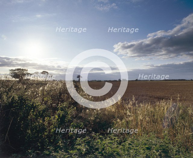 Memorial at Marston Moor, North Yorkshire, 1994. Artist: John Critchley
