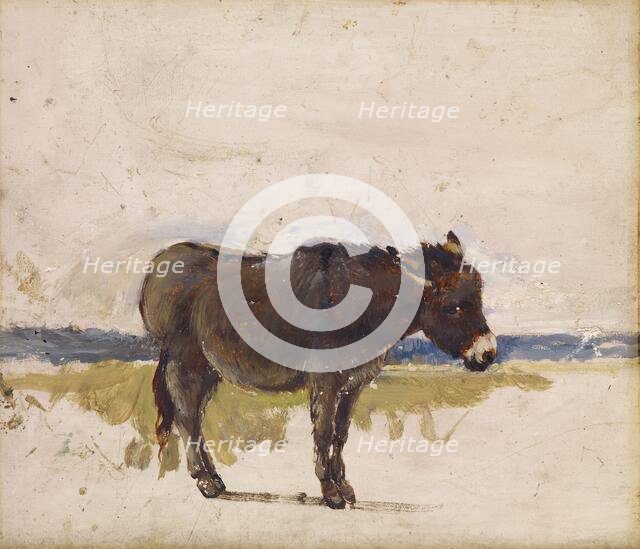 Study of a Donkey, 1841-1843. Creator: David Cox the elder.