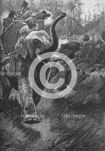 'The Frightened Elephants Rushed Back Crashing Through The Forest', 1895, (1902). Artist: Stanley Llewellyn Wood.