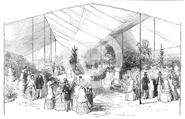 Exhibition of American Plants at the Royal Botanical Society's Gardens, Regent's-Park, 1850. Creator: Unknown.
