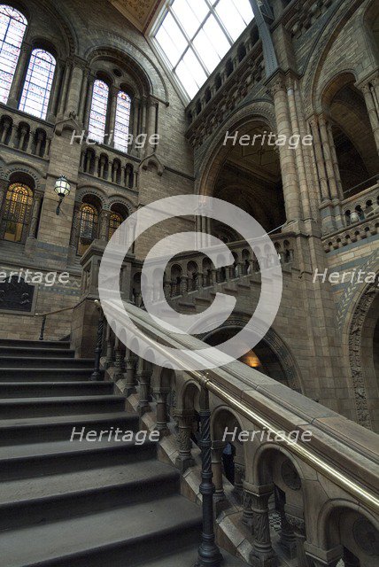 Nat His Museum, 2005. Creator: Ethel Davies.