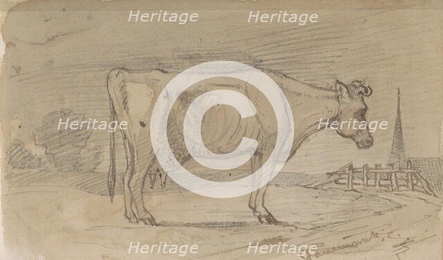 Cow in a meadow, 1864-1880. Creator: Johannes Tavenraat.