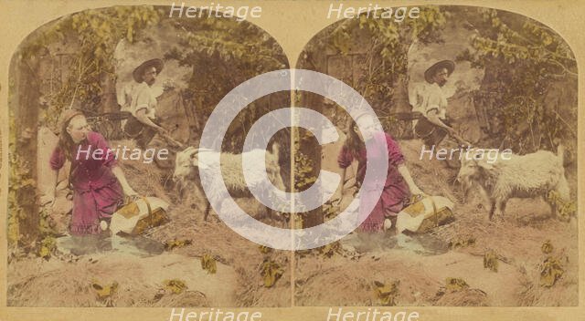 Met a Tartar (Papa's Dinner Gone.), 1876. Creator: L. Melander & Bro.