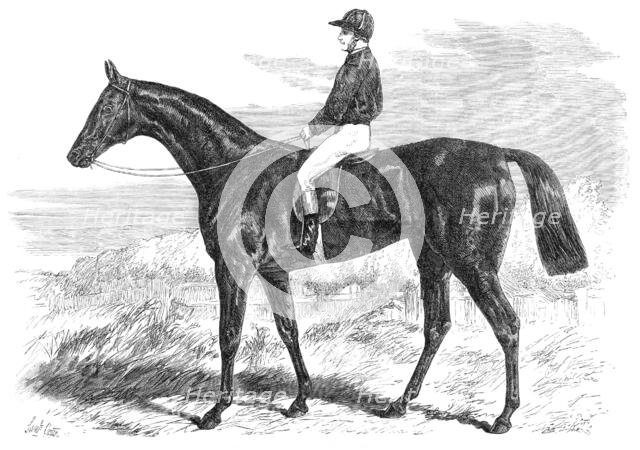 Pretender, winner of the Derby, 1869. Creator: Unknown.