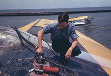 A sailor mechanic refueling a plane at the Naval Air Base, Corpus Christi, Texas, 1942. Creator: Howard Hollem.