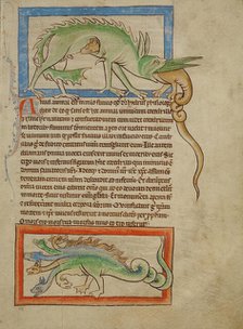 A Hydrus; A Hydra; Northumberland Bestiary, about 1250-1260. Creator: Unknown.