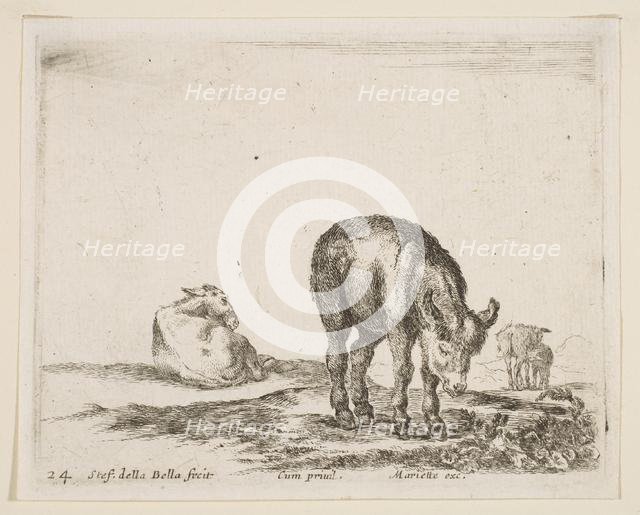 Plate 24: donkeys, from 'Various animals' (Diversi animali), ca. 1641. Creator: Stefano della Bella.