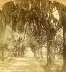 'Entrance to St. Augustine, Florida, U.S.A.', 1901. Creator: J F Jarvis.