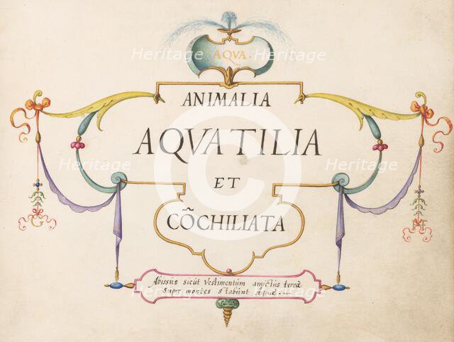 Animalia Aqvatilia et Cochiliata (Aqva): Title Page, c. 1575/1580. Creator: Joris Hoefnagel.