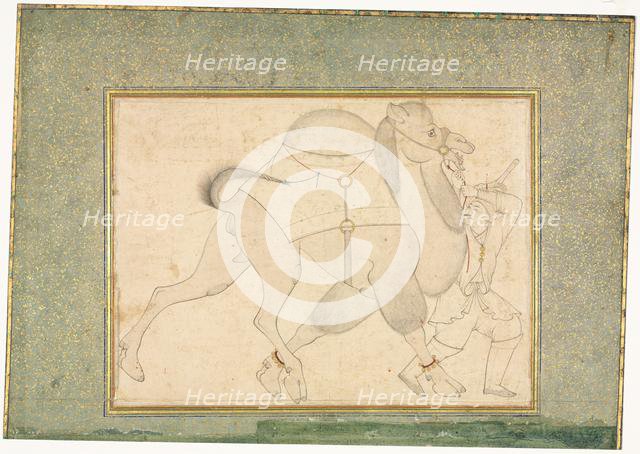 Camel and Groom; Single Page Illustration, c. 1545-1576. Creator: Shaykh Muhammad (Iranian), style of.