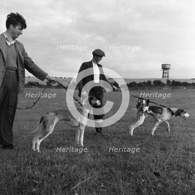 Hound Trailing, one of Cumbria's oldest and most popular sports, Keswick, 2nd July 1962. Artist: Michael Walters