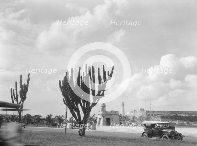 Travel views of Cuba and Guatemala, between 1899 and 1926. Creator: Arnold Genthe.