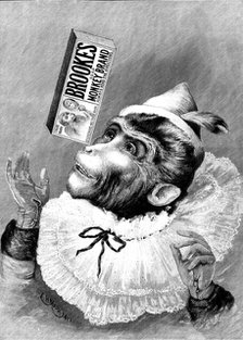 Advertisement for Brooke's Monkey Brand Soap, 1895.  Creator: Unknown.