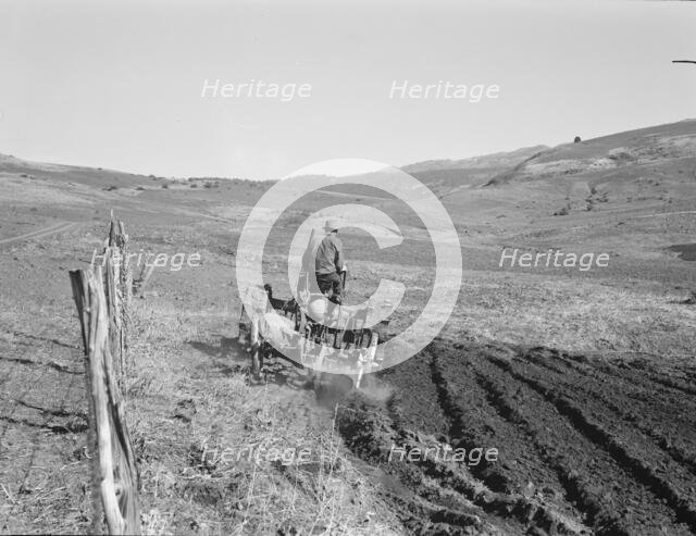 Young Idaho farmer plowing...Ola self-help sawmill co-op..., Gem County, Idaho, 1939. Creator: Dorothea Lange.