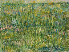 Patch of grass. Artist: Gogh, Vincent, van (1853-1890)