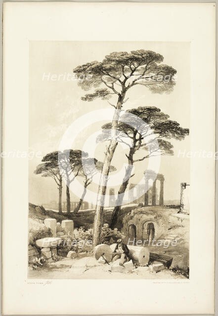 Stone Pines, from The Park and the Forest, 1841. Creator: James Duffield Harding.
