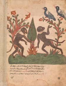 The Birds and the Monkeys with the Glow Worm, Folio from a Kalila wa Dimna, 18th century. Creator: Unknown.