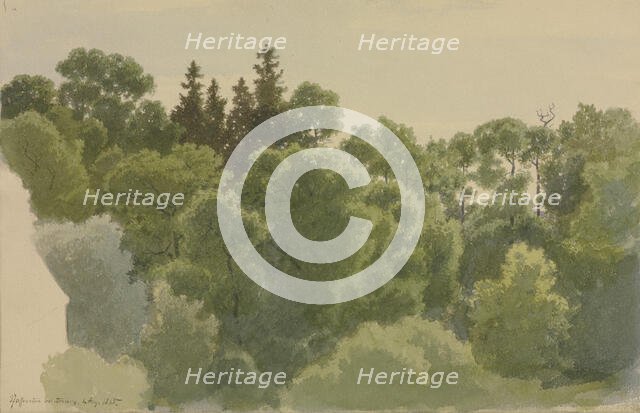 The Pfaffenstein near Arnsburg Monastery, 1865. Creator: Carl Theodor Reiffenstein.