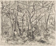 The Woods at L'Hermitage, Pontoise, 1879. Creator: Camille Pissarro.