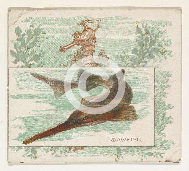 Sawfish, from Fish from American Waters series (N39) for Allen & Ginter Cigarettes, 1889. Creator: Allen & Ginter.