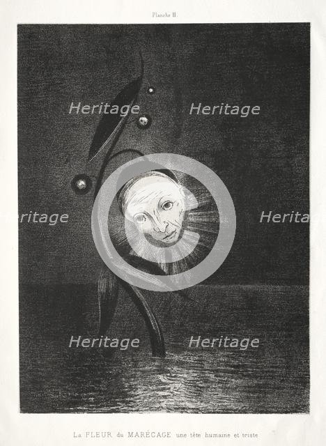 Homage to Goya: The Marsh Flower, a Sad Human Head, 1885. Creator: Odilon Redon (French, 1840-1916); Lemercier & Cie..