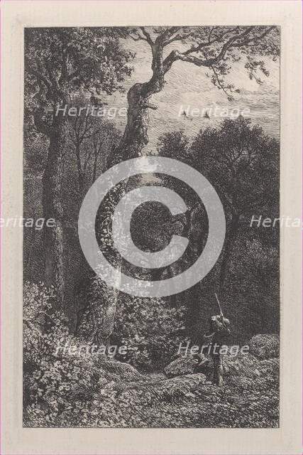 Shooting a Woodcock, 1864. Creator: Charles Emile Jacque.