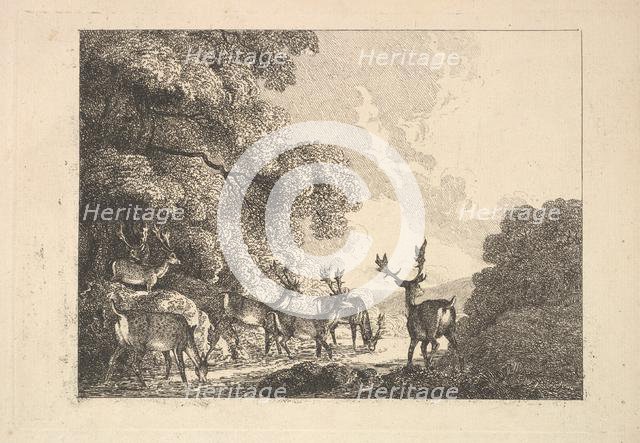 A Group of Stags Drinking, 1784-88. Creator: Thomas Rowlandson.