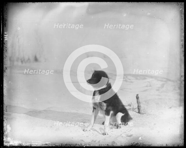Northern Alaska Exploring Expedition, 1884-1886. Creator: Unknown.