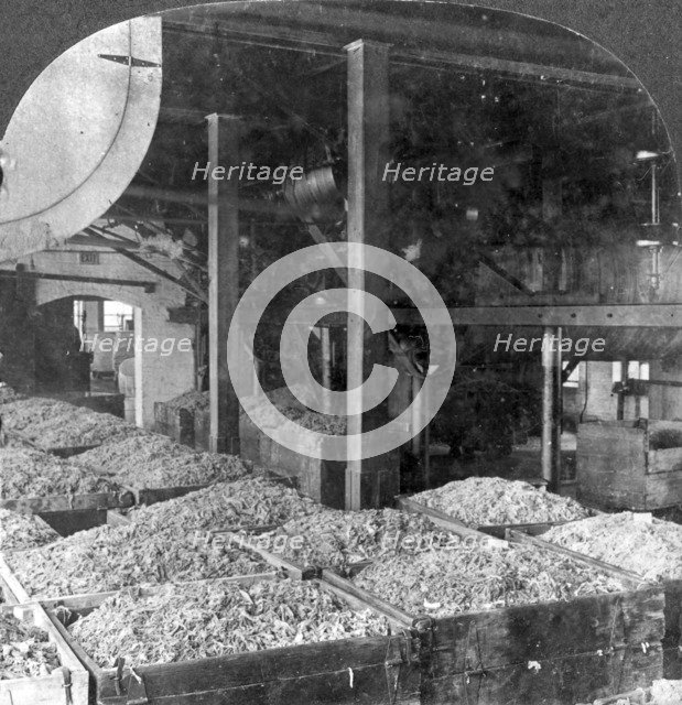 Making paper from rags, Holyoke, Massachusetts, USA, 20th century. Artist: Keystone View Company