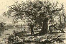 'The Connecticut, above Middletown', 1874.  Creator: James L. Langridge.