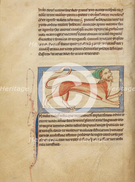 A Manticore; Northumberland Bestiary, about 1250-1260. Creator: Unknown.
