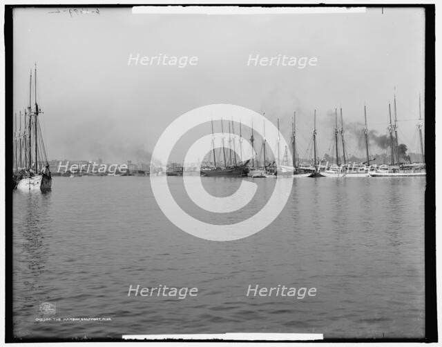 The Harbor, Gulfport, Miss., c1906. Creator: Unknown.