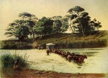 'Bullock Waggon Crossing a Drift on the Umbelois River-Swaziland', 1902. Creator: Donald McCracken.