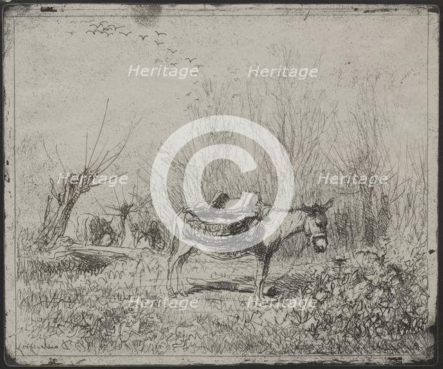 A Donkey in the Field, original impression 1862, printed in 1921. Creator: Charles François Daubigny (French, 1817-1878).