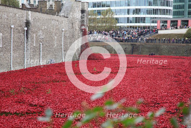 'Blood Swept Lands and Seas of Red', Tower of London, 2014.  Artist: Sheldon Marshall