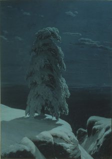 In the wilds of the North. Artist: Shishkin, Ivan Ivanovich (1832-1898)