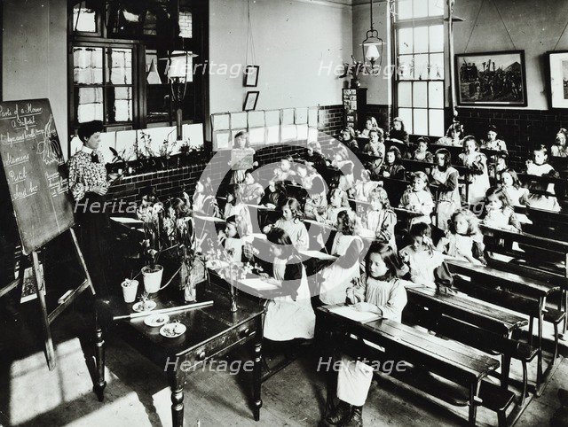 Nature lesson, Class IIIB, Albion Street Girls School, Rotherhithe, London, 1908. Artist: Unknown.