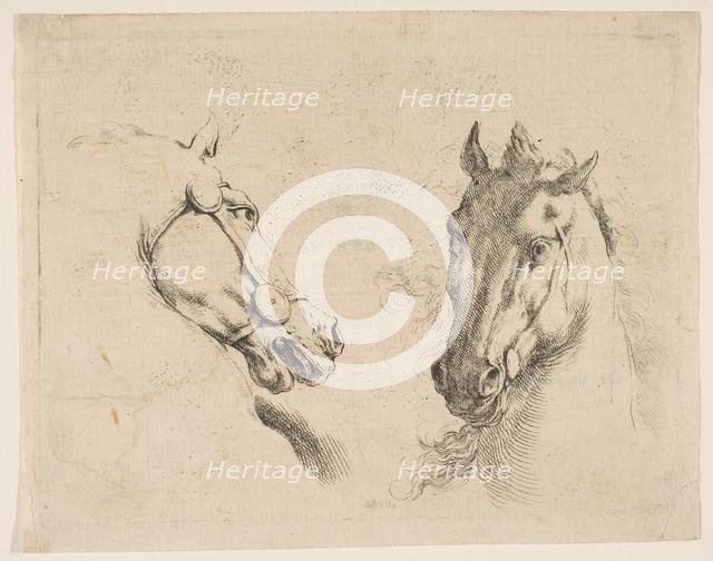 Two Horse Heads, ca. 1649. Creator: Stefano della Bella.