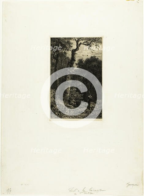 Shooting Woodcock, 1864. Creator: Charles Emile Jacque.