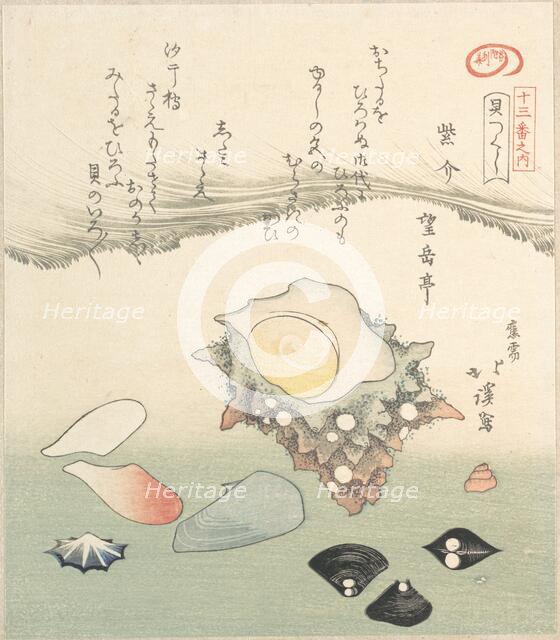 Top-Shell and Various Shells, 19th century. Creator: Totoya Hokkei.