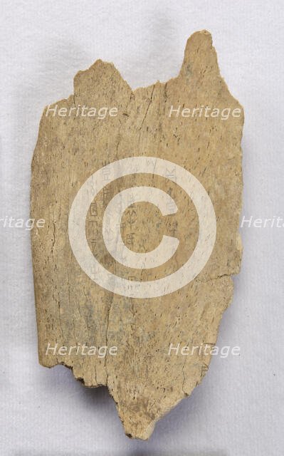 Inscribed bone fragment ("oracle bone"), Late Shang dynasty, ca. 1300-1050 BCE. Creator: Unknown.