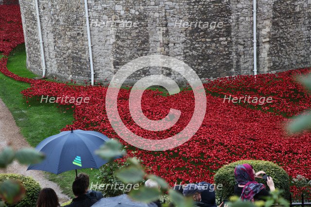 'Blood Swept Lands and Seas of Red', Tower of London, 2014.  Artist: Sheldon Marshall
