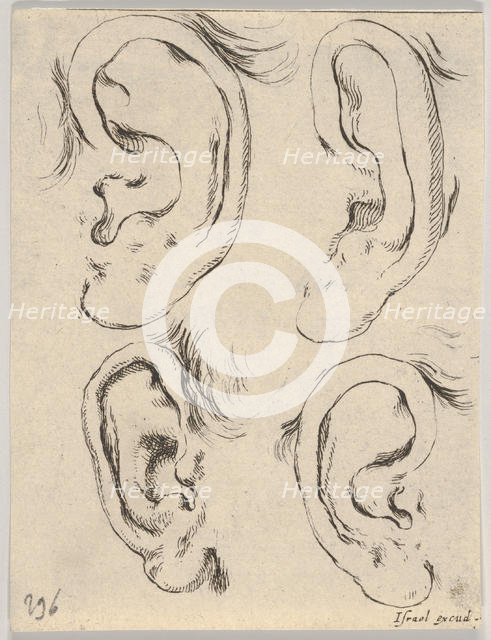 Plate 5: four ears, from 'The Book for Learning to Draw' (Livre pour apprendre à dessi..., ca. 1649. Creator: Stefano della Bella.