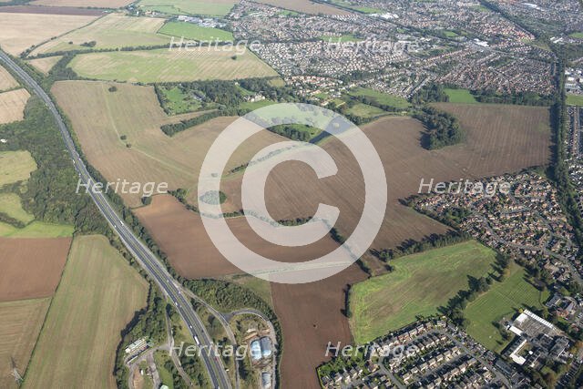 Cusworth Hall landscape park, Doncaster, 2023. Creator: Robyn Andrews.