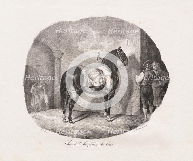 Lithographed Studies of Horses: Pl. 7, Horse from the Caen Plain , 1822. Creator: Théodore Géricault (French, 1791-1824); Gihaut.