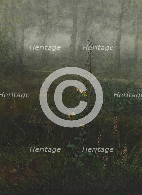 Gray Mullein in the Undergrowth, 1865. Creator: Leon Bonvin.