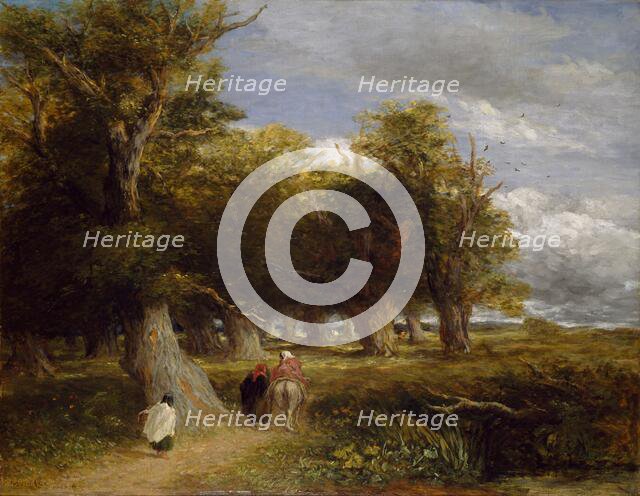 The Skirts of the Forest, 1856. Creator: David Cox the elder.
