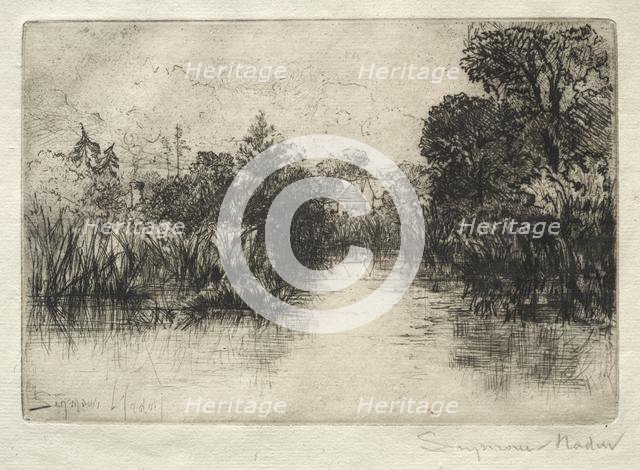 Shere Mill Pond (A Small Study). Creator: Francis Seymour Haden (British, 1818-1910).