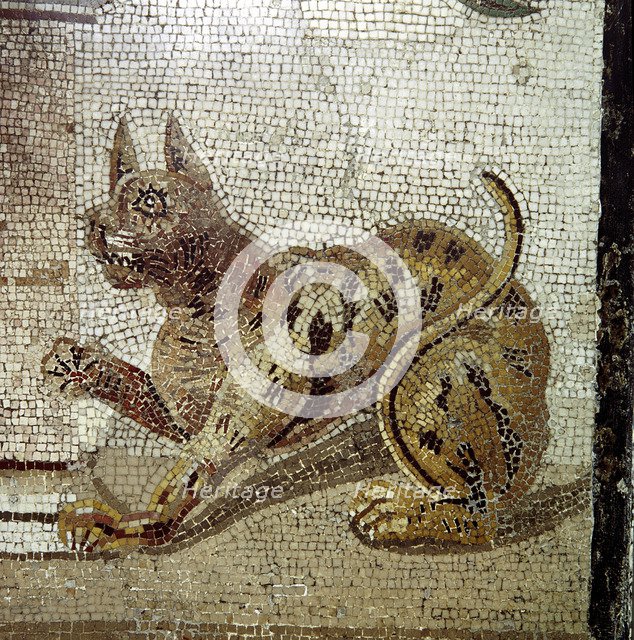 Detail from Roman mosaic showing a cat, Pompeii, Italy. Creator: Unknown.