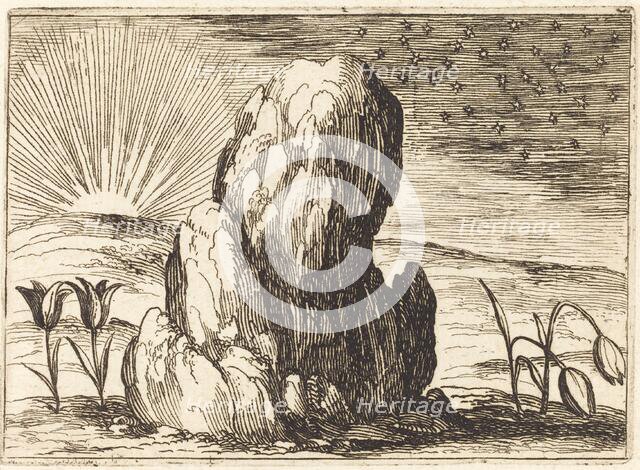 The Tulips and the Sun, 1628. Creator: Jacques Callot.